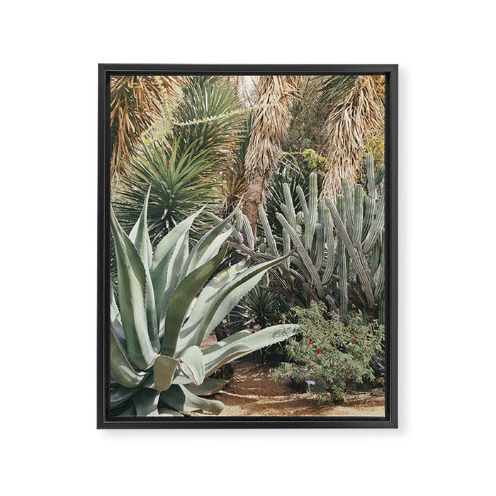 Cactus Garden #3 - Nature Photography Framed Canvas Print Gallery Image 1