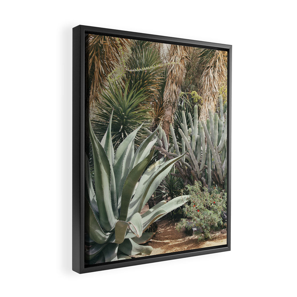 Cactus Garden #3 - Nature Photography Framed Canvas Print Gallery Image 2