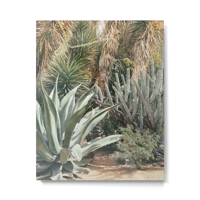 Cactus Garden #3 - Nature Photography Metal Print Gallery Image 1