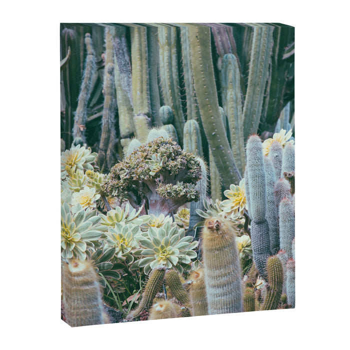 Cactus Garden #4 - Boho Botanical Canvas Print Gallery Image 1
