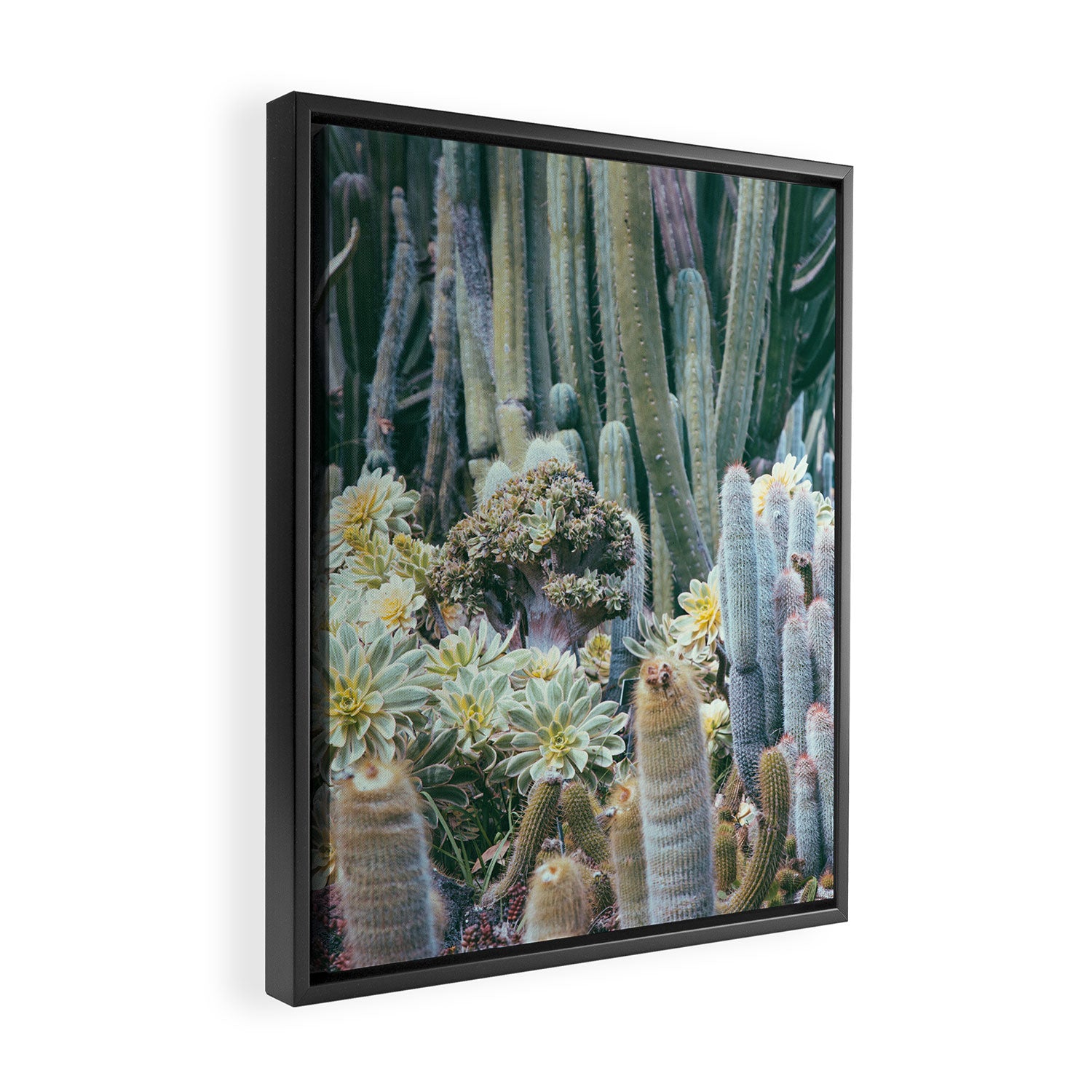 Cactus Garden #4 - Boho Botanical Framed Canvas Print Gallery Image 2