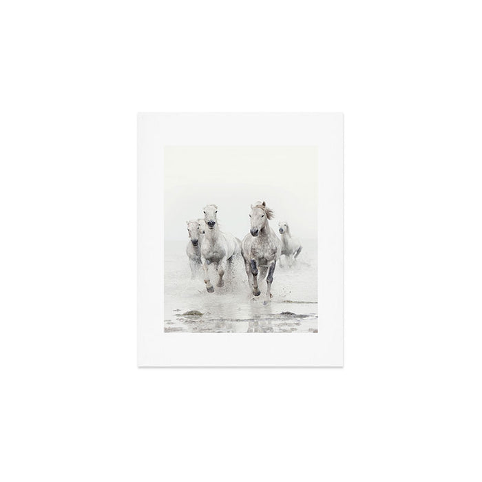Camargue White Horses Running in Water - Nature Photography Art Print Gallery Image 1