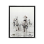 Camargue White Horses Running in Water - Nature Photography Framed Canvas Print Gallery Image 8