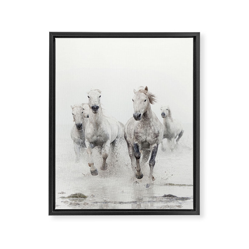 Camargue White Horses Running in Water - Nature Photography Framed Canvas Print Gallery Image 8