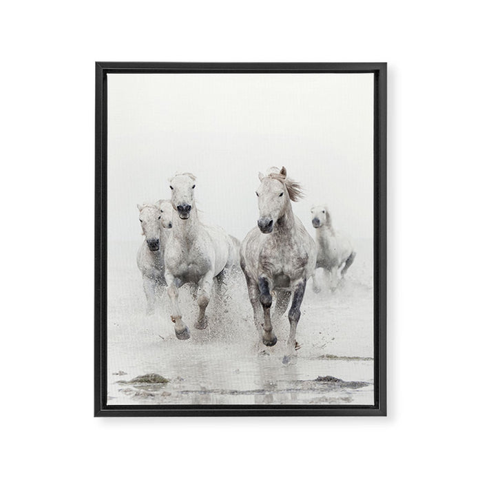 Camargue White Horses Running in Water - Nature Photography Framed Canvas Print Gallery Image 1