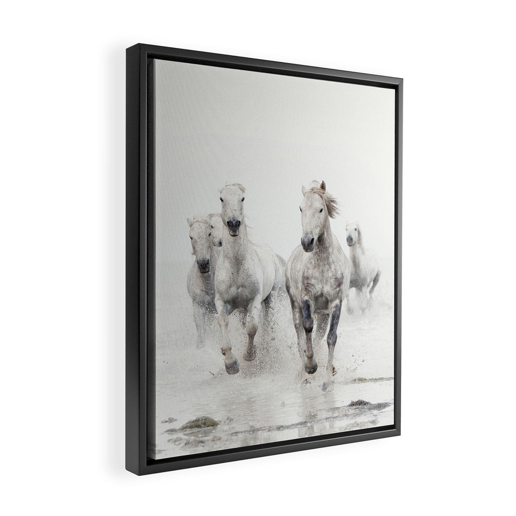 Camargue White Horses Running in Water - Nature Photography Framed Canvas Print Gallery Image 2
