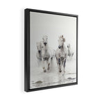 Camargue White Horses Running in Water - Nature Photography Framed Canvas Print Gallery Image 2