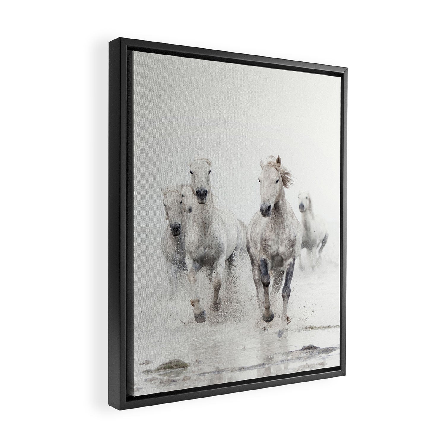 Camargue White Horses Running in Water - Nature Photography Framed Canvas Print Gallery Image 2