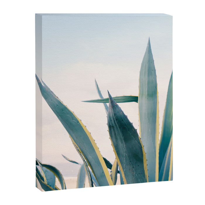 Coastal Agave Cactus Canvas Print Gallery Image 1