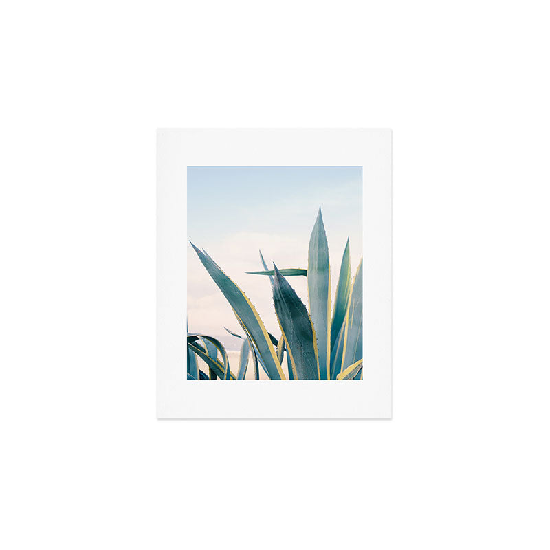 Coastal Agave Cactus Art Print Gallery Image 1