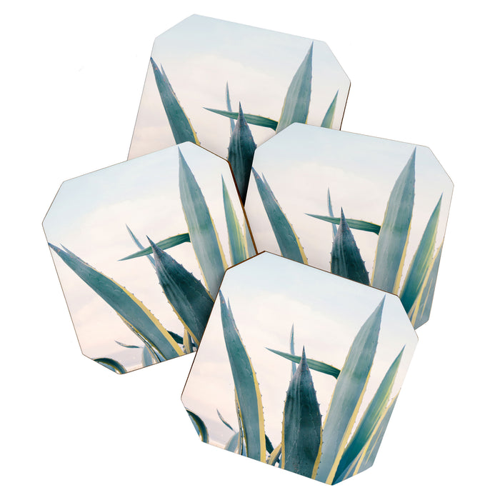Coastal Agave Cactus Coaster Gallery Image 1