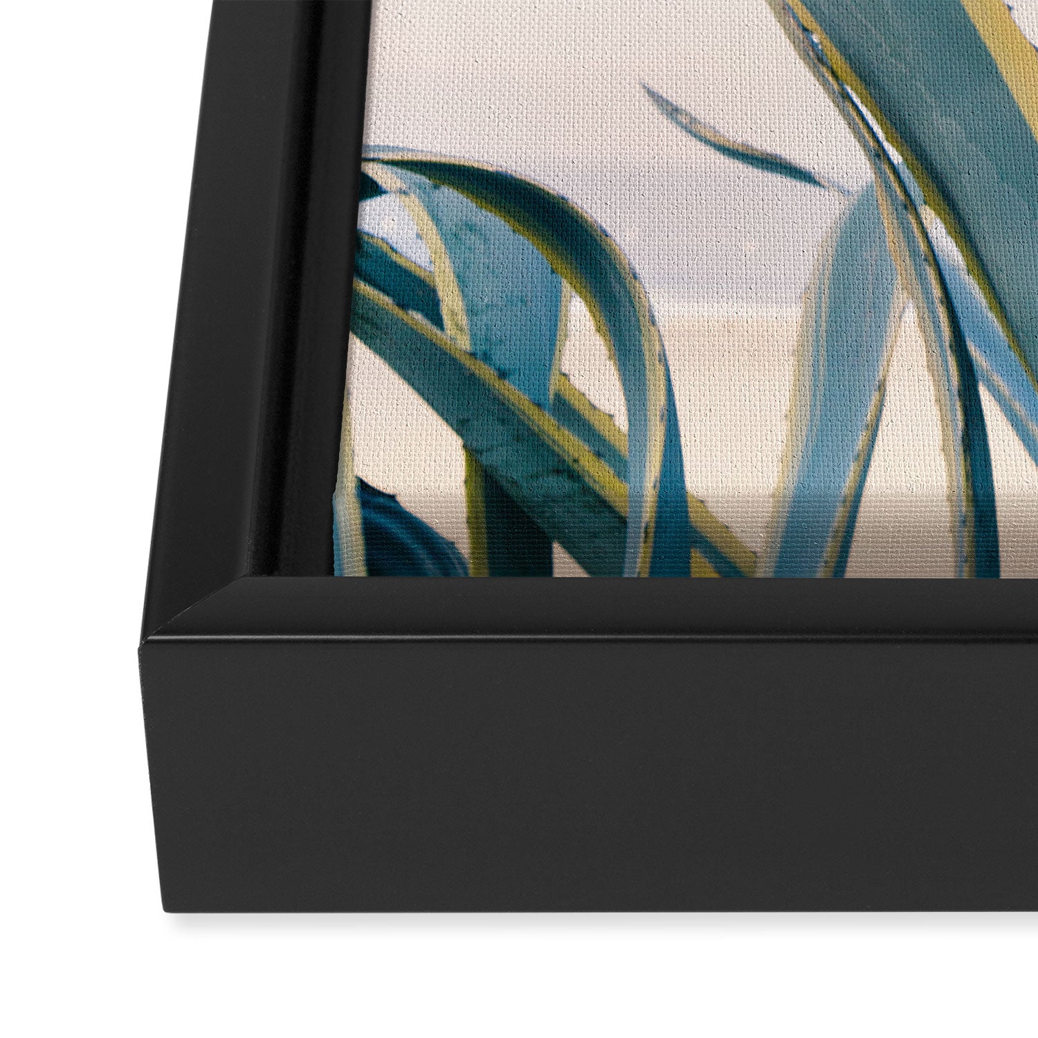 Coastal Agave Cactus Framed Canvas Print Gallery Image 3