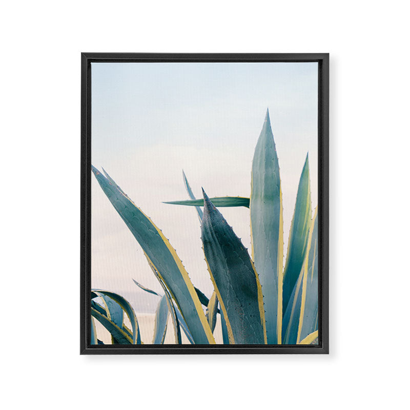 Coastal Agave Cactus Framed Canvas Print Gallery Image 6