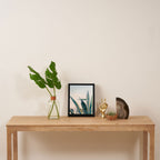 Coastal Agave Cactus Framed Canvas Print Gallery Image 4