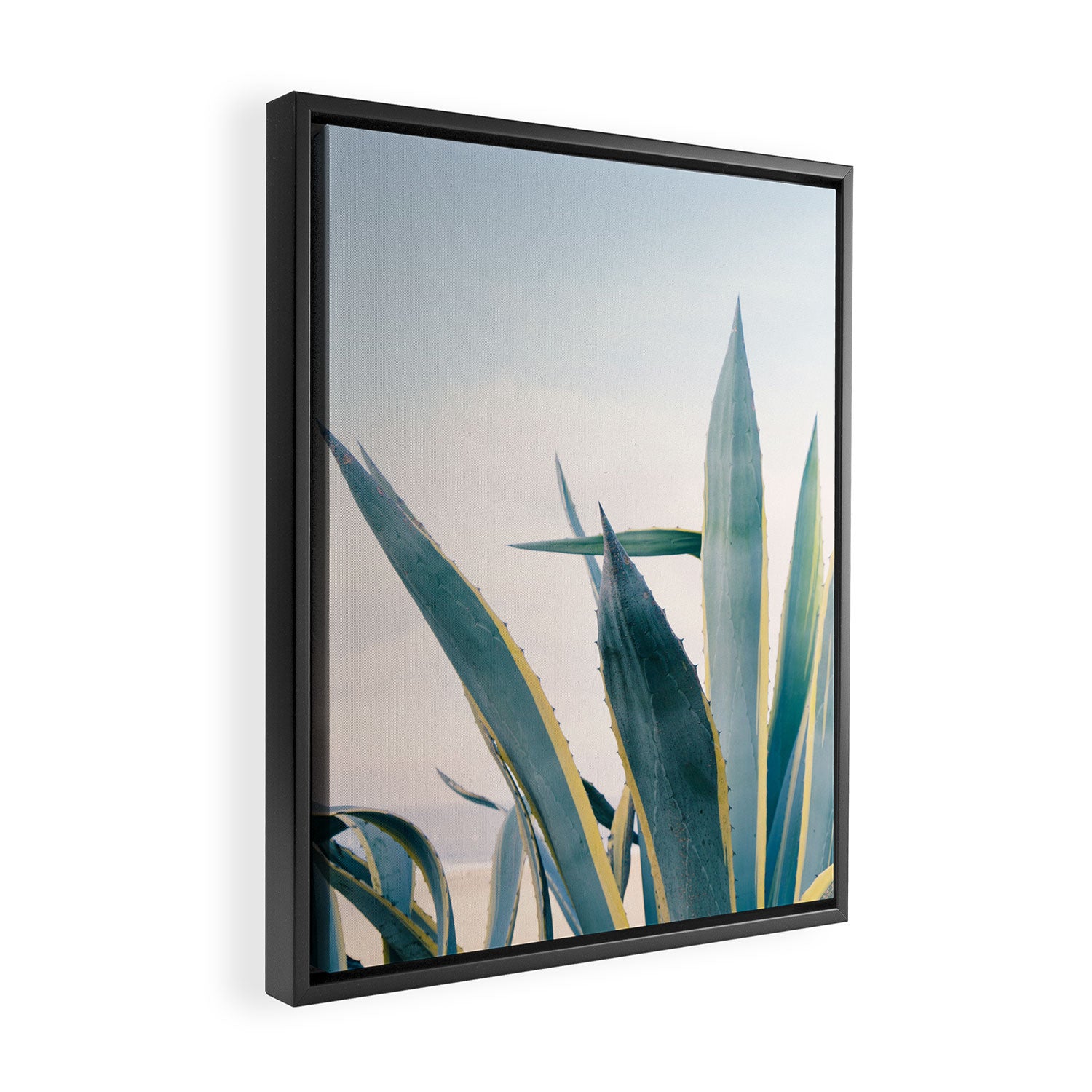Coastal Agave Cactus Framed Canvas Print Gallery Image 2