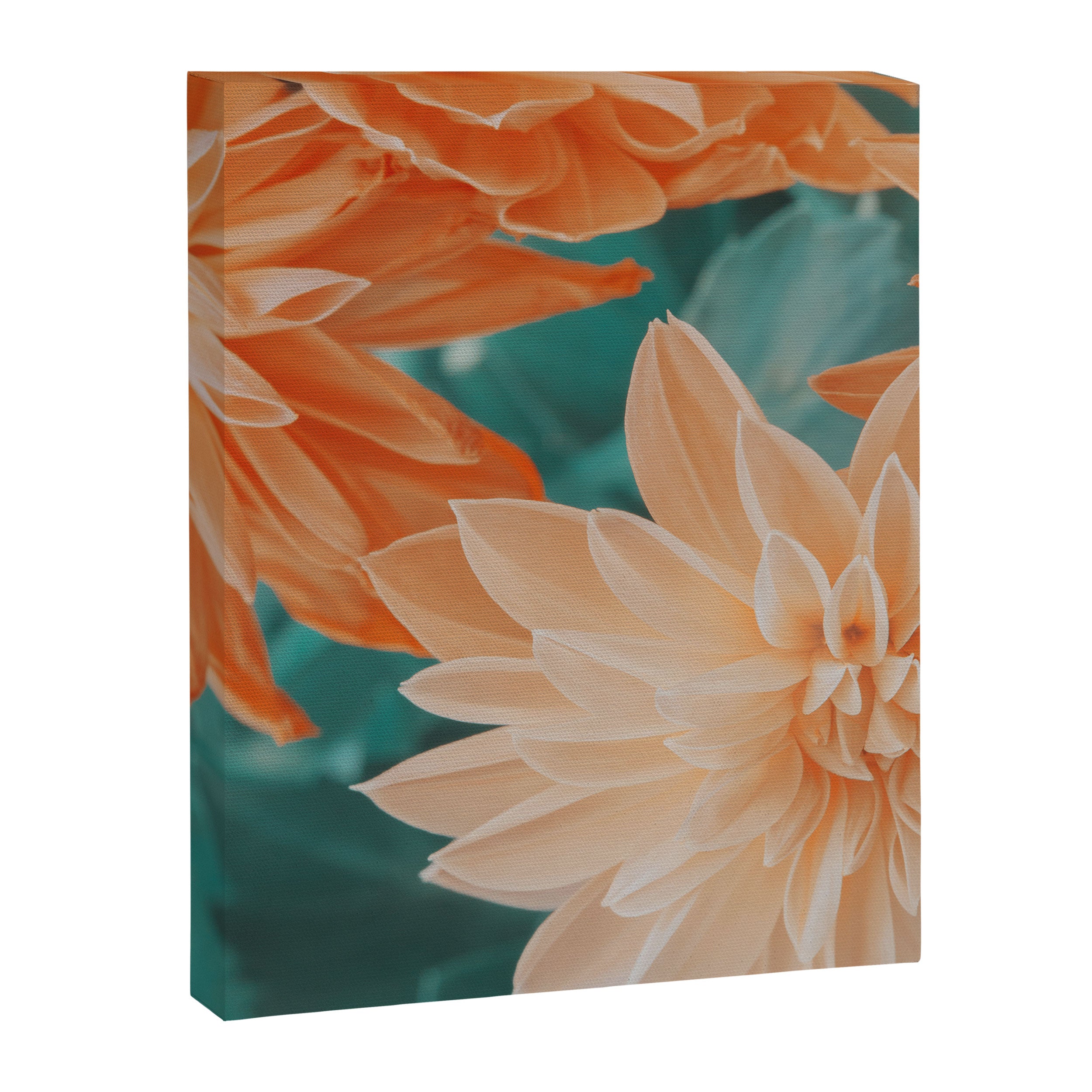 Dahlia Power Canvas Print Gallery Image 6