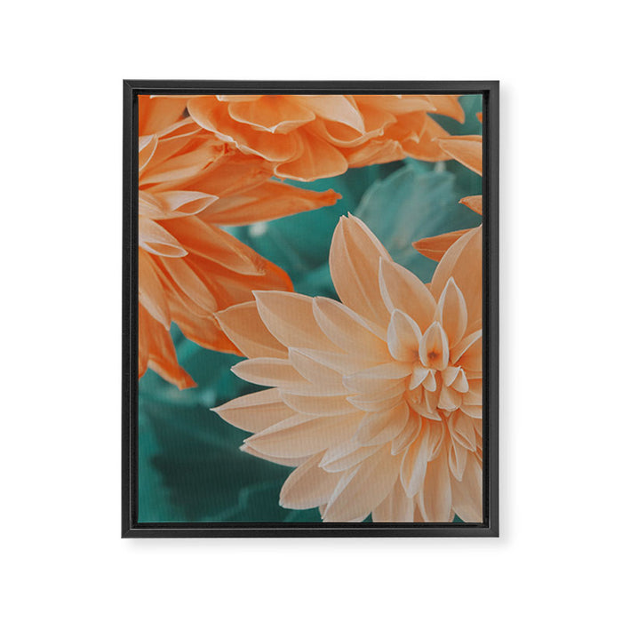 Dahlia Power Framed Canvas Print Gallery Image 1