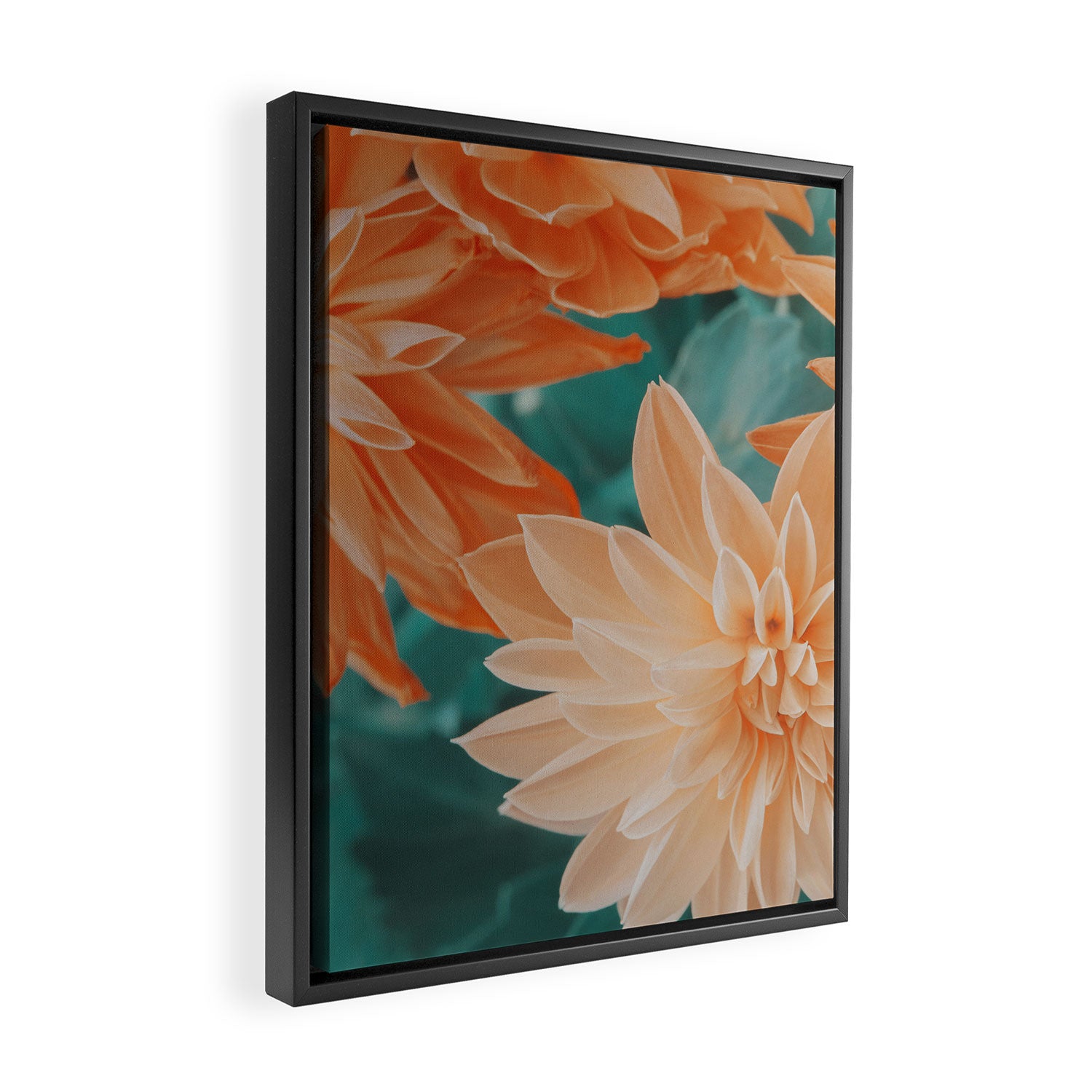Dahlia Power Framed Canvas Print Gallery Image 2