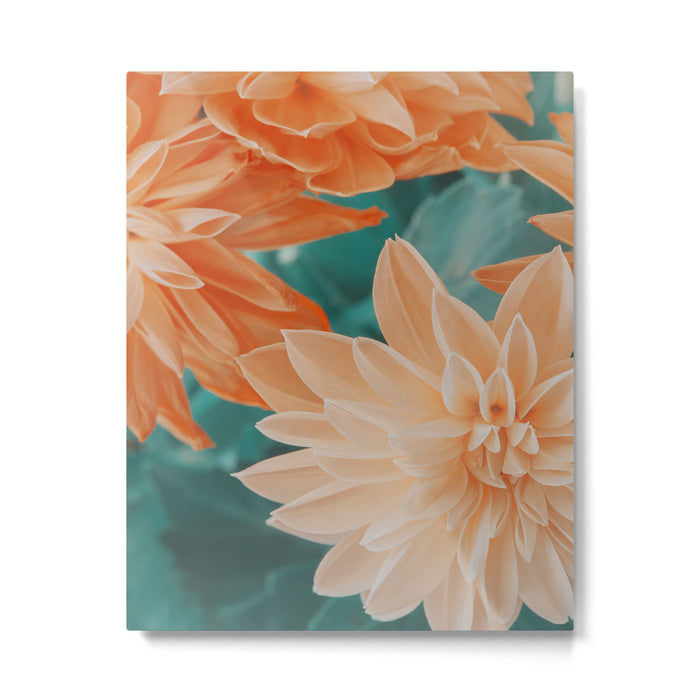 Dahlia Power Metal Print Gallery Image 1