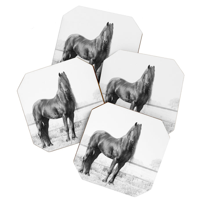 Dark Horse - Nature Photography Coaster Gallery Image 1