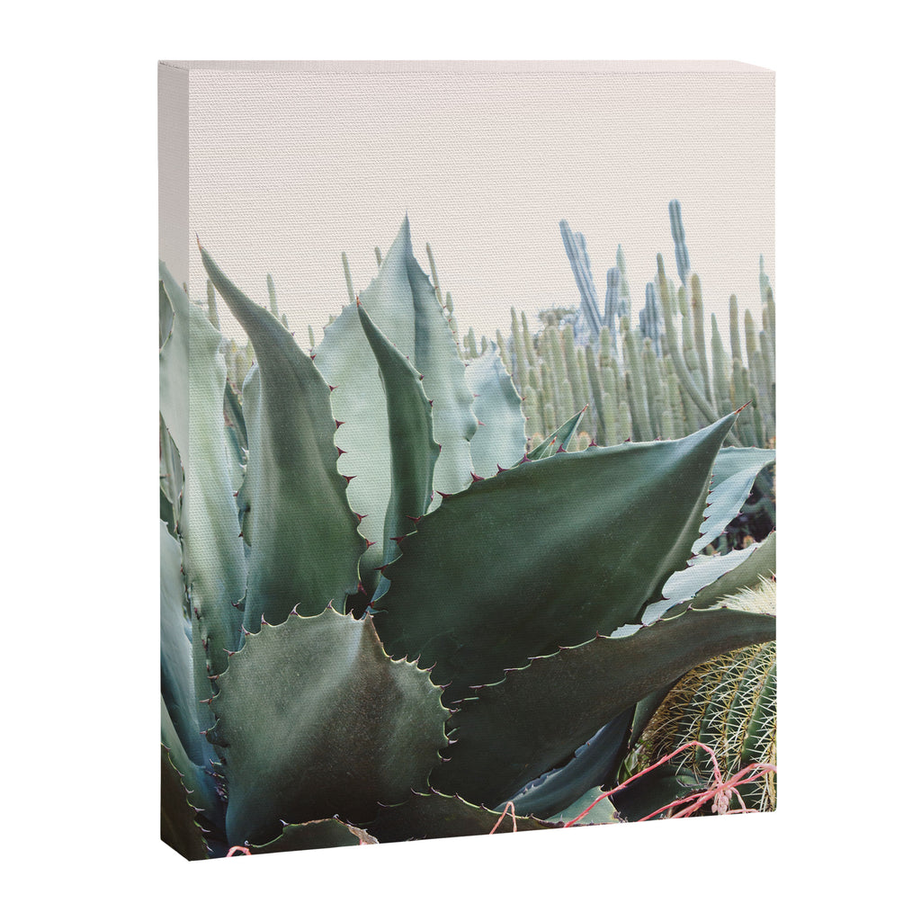 Desert Agave Canvas Print Gallery Image 6