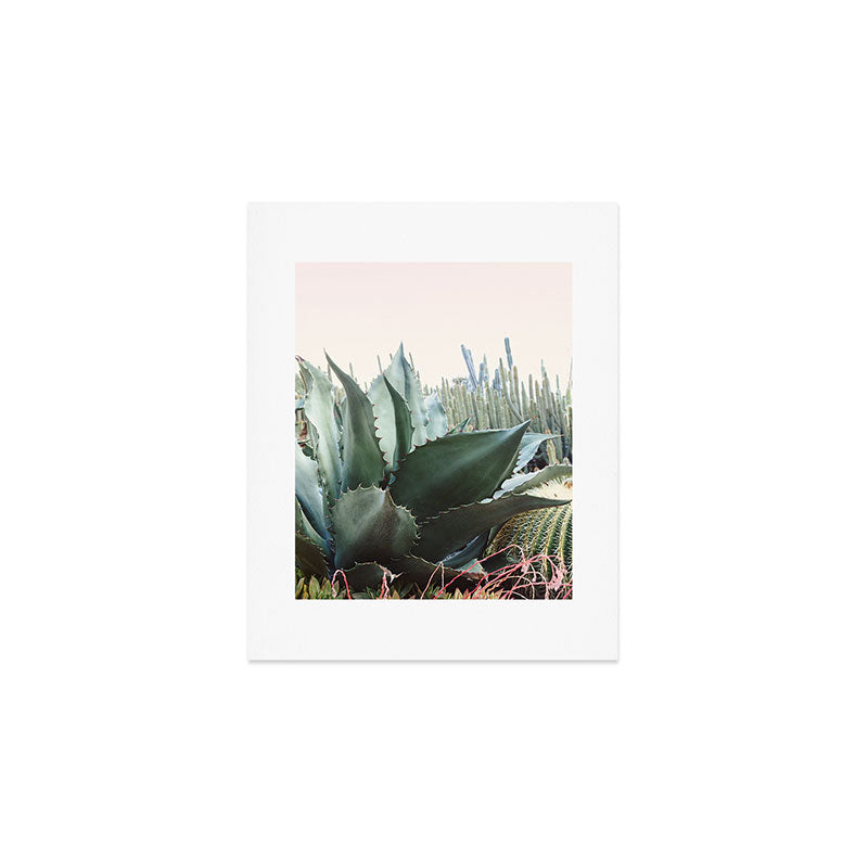 Desert Agave Art Print Gallery Image 1