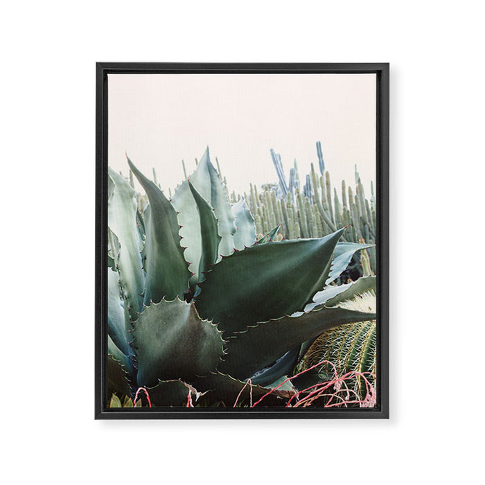 Desert Agave Framed Canvas Print Gallery Image 1