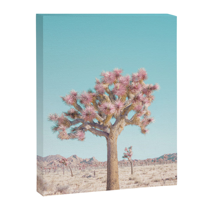 Desert Dream - Joshua Tree Landscape Photography Canvas Print Gallery Image 1