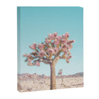 Desert Dream - Joshua Tree Landscape Photography Canvas Print Gallery Image 6