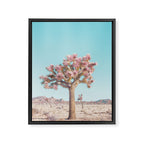 Desert Dream - Joshua Tree Landscape Photography Framed Canvas Print Gallery Image 6
