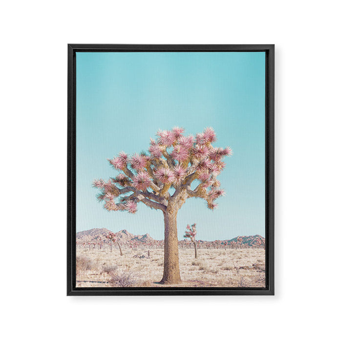 Desert Dream - Joshua Tree Landscape Photography Framed Canvas Print Gallery Image 1