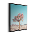 Desert Dream - Joshua Tree Landscape Photography Framed Canvas Print Gallery Image 2