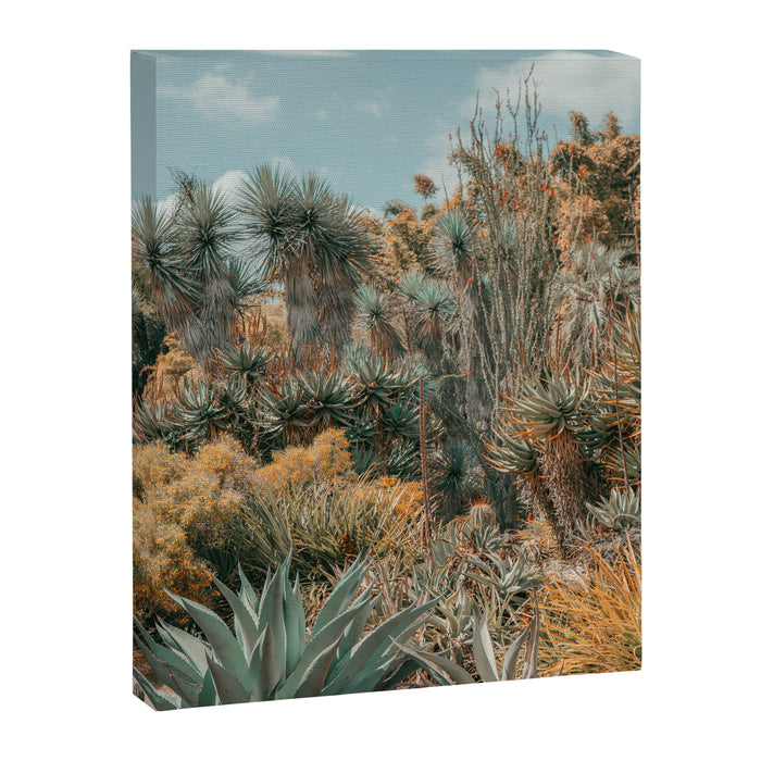 Desert Oasis - California Cactus Garden, Nature, Landscape Photography Canvas Print Gallery Image 1