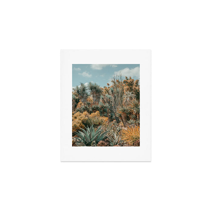Desert Oasis - California Cactus Garden, Nature, Landscape Photography Art Print Gallery Image 1
