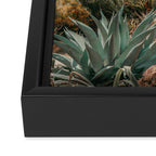 Desert Oasis - California Cactus Garden, Nature, Landscape Photography Framed Canvas Print Gallery Image 3