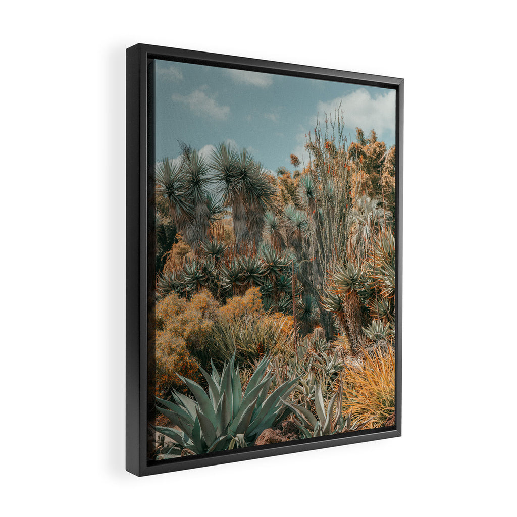 Desert Oasis - California Cactus Garden, Nature, Landscape Photography Framed Canvas Print Gallery Image 2