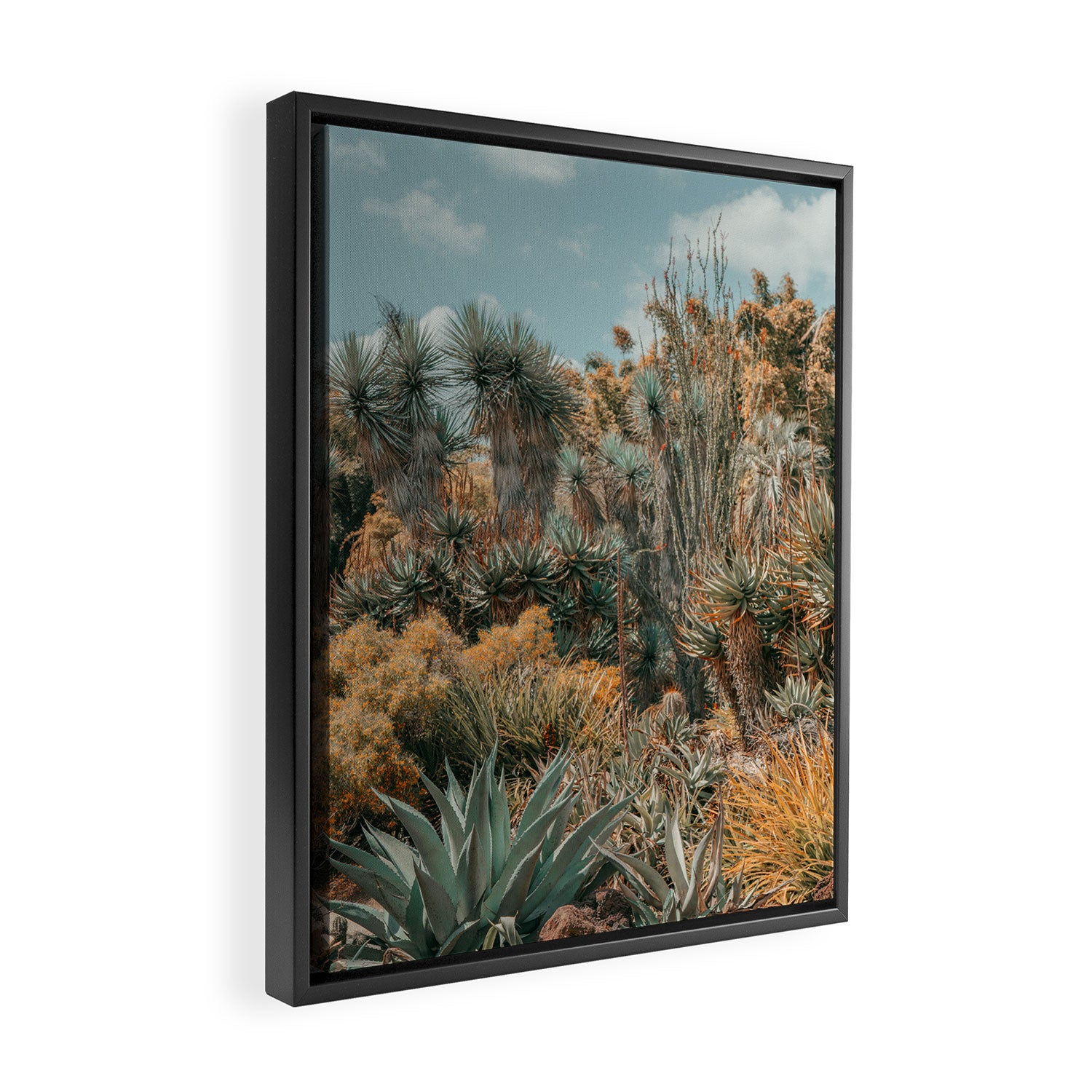 Desert Oasis - California Cactus Garden, Nature, Landscape Photography Framed Canvas Print Gallery Image 2
