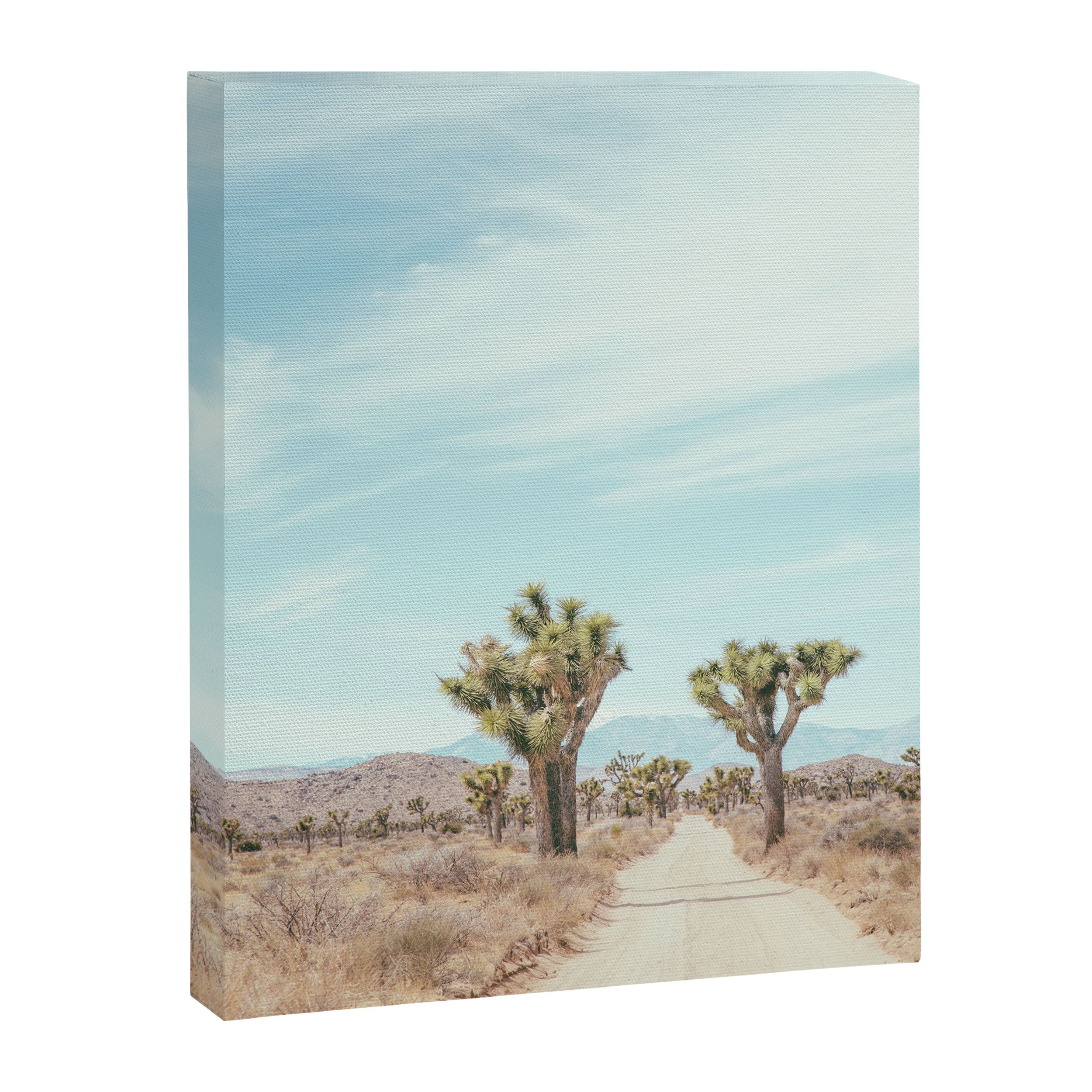 Desert Path - Joshua Tree Landscape, Nature Photography Canvas Print Gallery Image 6