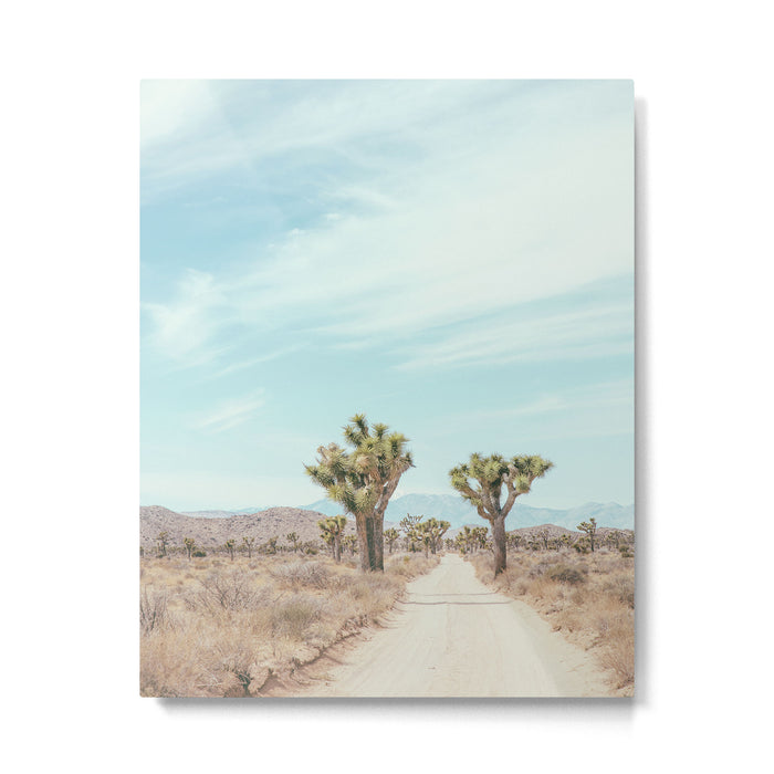 Desert Path - Joshua Tree Landscape, Nature Photography Metal Print Gallery Image 1