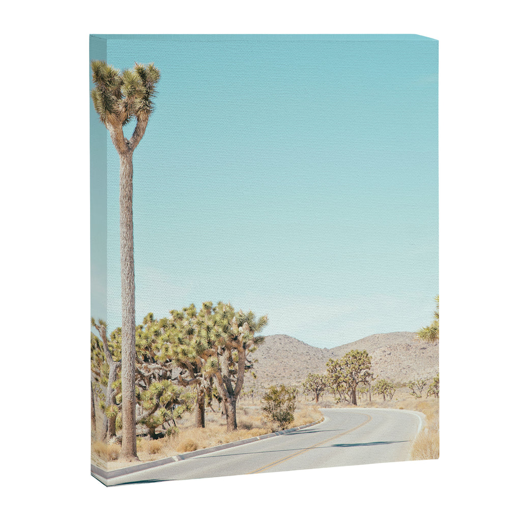 Desert Road, Joshua Tree Landscape Photography Canvas Print Gallery Image 6
