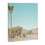 Desert Road, Joshua Tree Landscape Photography Canvas Print Gallery Image 6