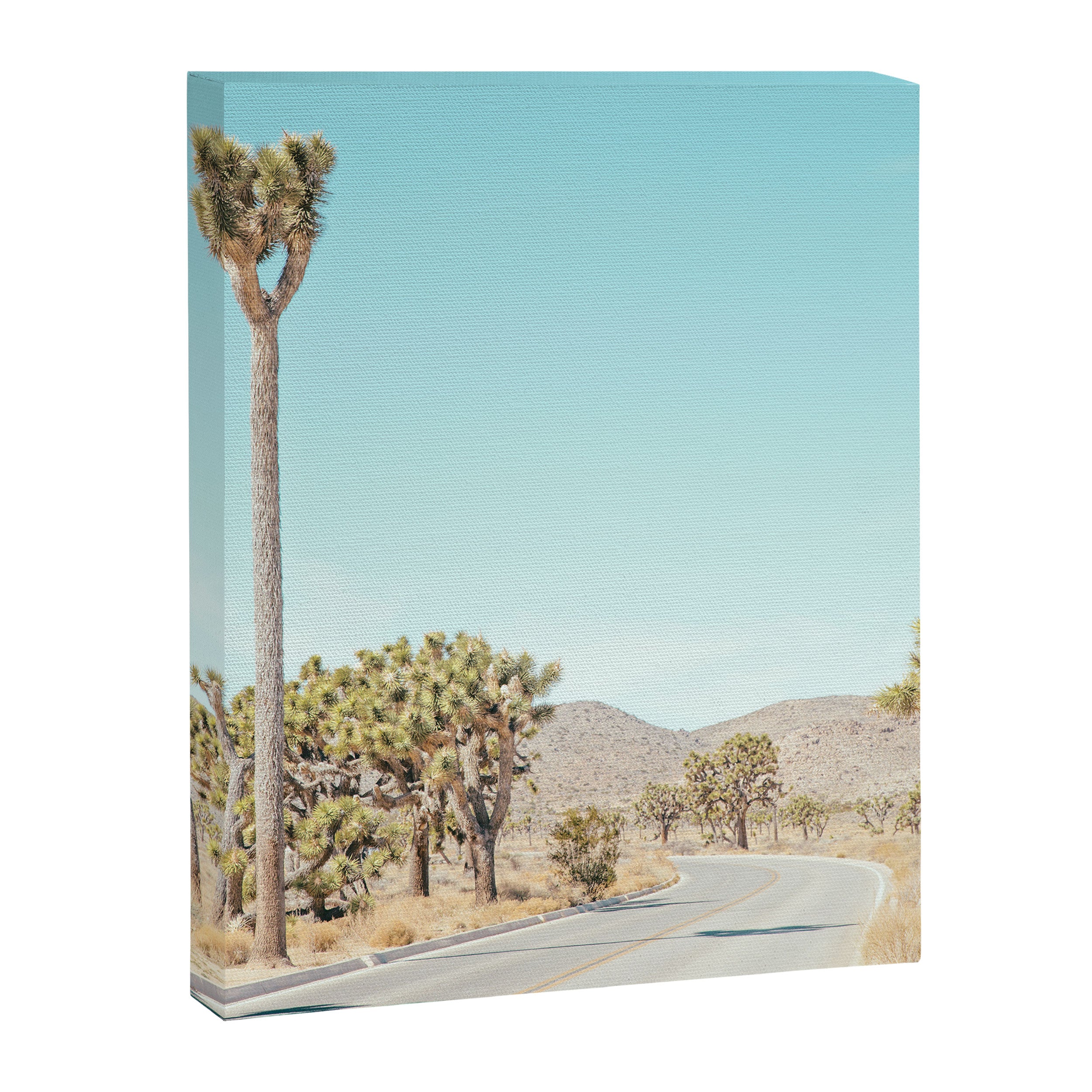 Desert Road, Joshua Tree Landscape Photography Canvas Print Gallery Image 6
