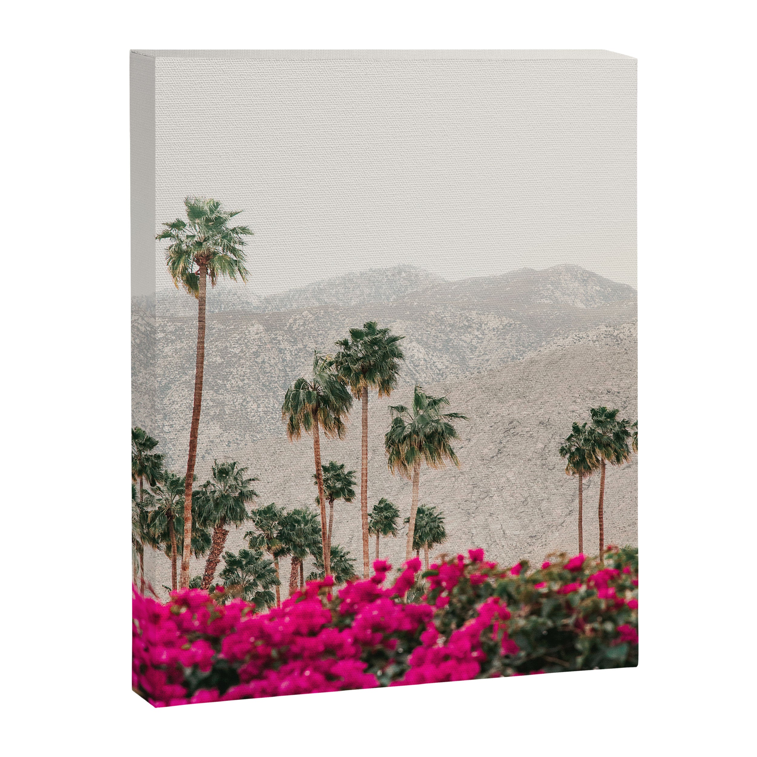 Edge of Palm Springs Canvas Print Gallery Image 6