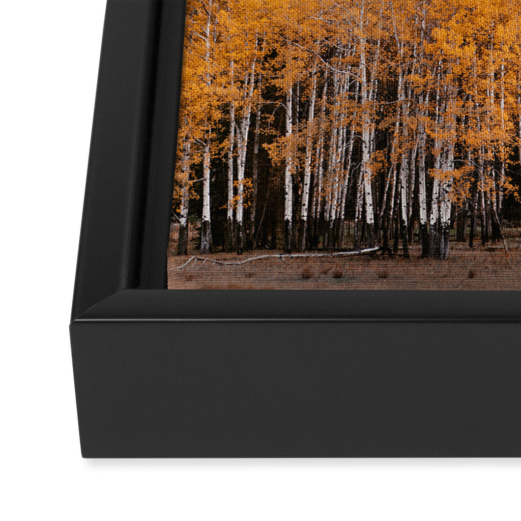 Fall Layers - Mountain Landscape Photography Framed Canvas Print Gallery Image 3
