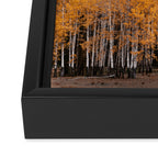 Fall Layers - Mountain Landscape Photography Framed Canvas Print Gallery Image 3