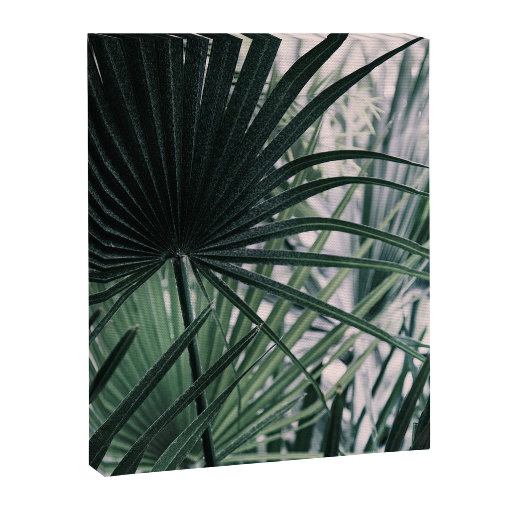 Fan Palms Galore - Tropical Nature Photography Canvas Print Gallery Image 6