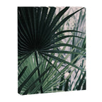 Fan Palms Galore - Tropical Nature Photography Canvas Print Gallery Image 6