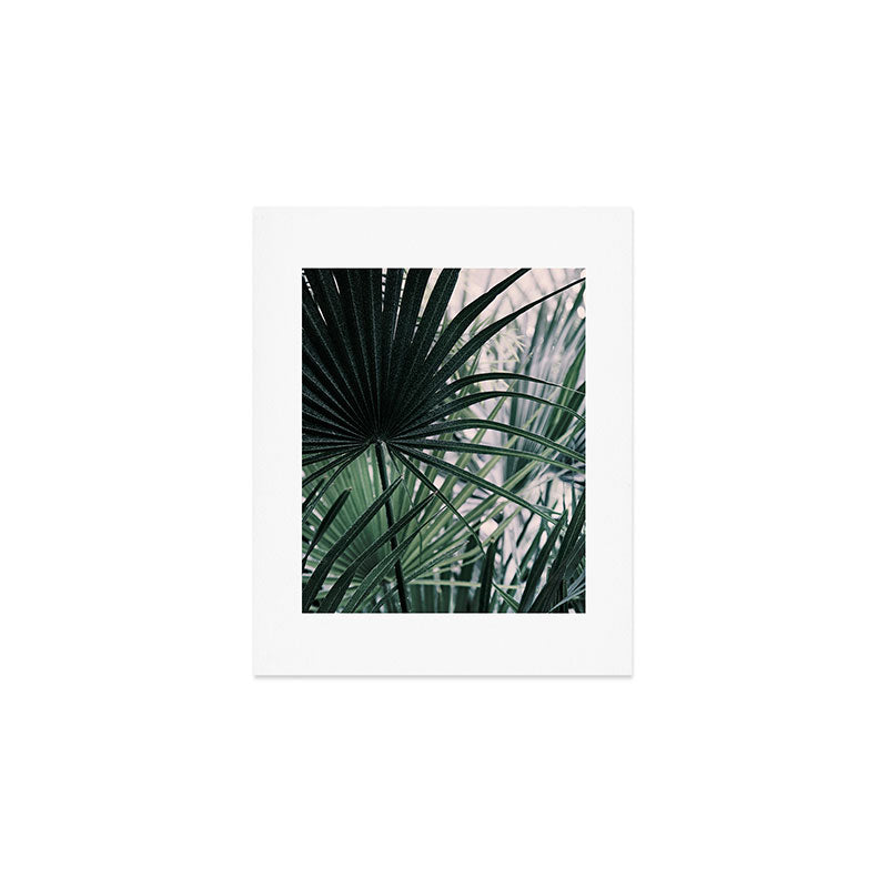 Fan Palms Galore - Tropical Nature Photography Art Print Gallery Image 1
