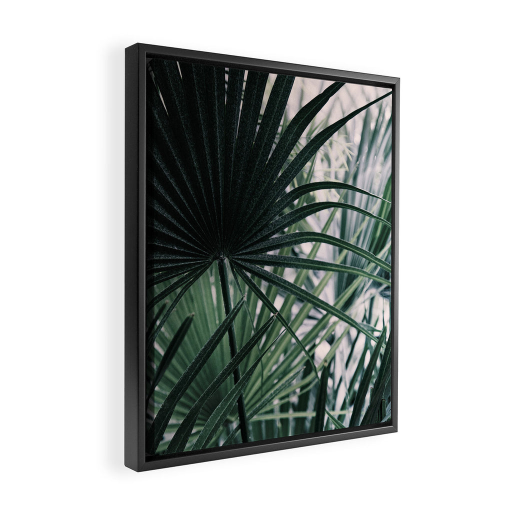 Fan Palms Galore - Tropical Nature Photography Framed Canvas Print Gallery Image 2