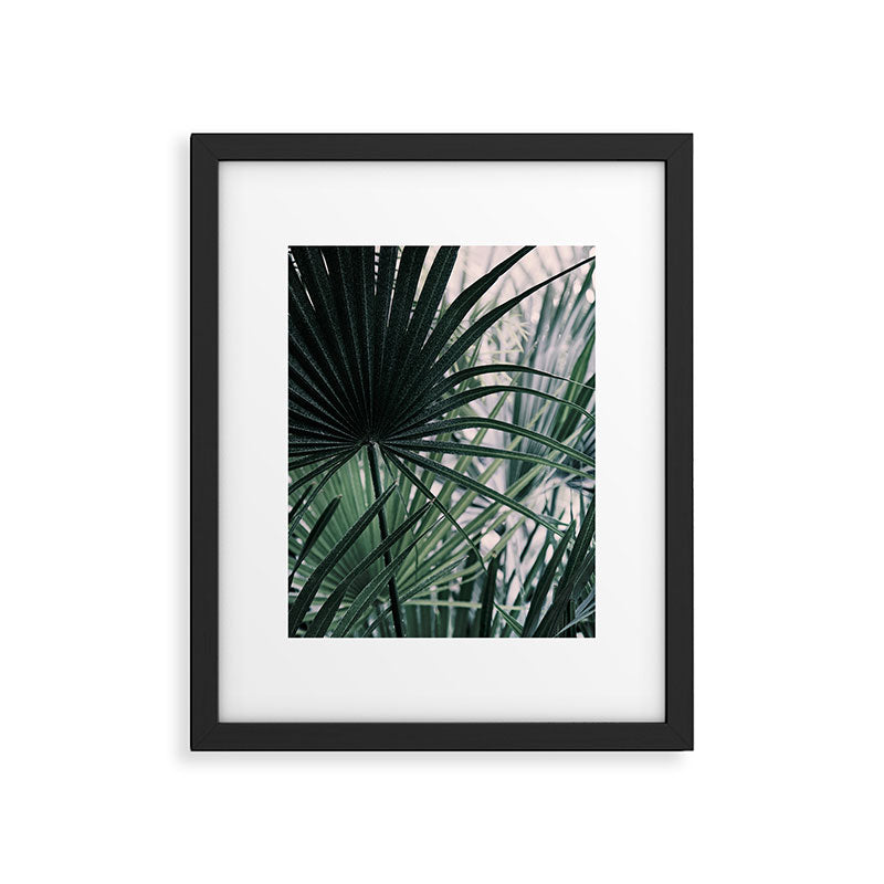Fan Palms Galore - Tropical Nature Photography Framed Art Print Gallery Image 5